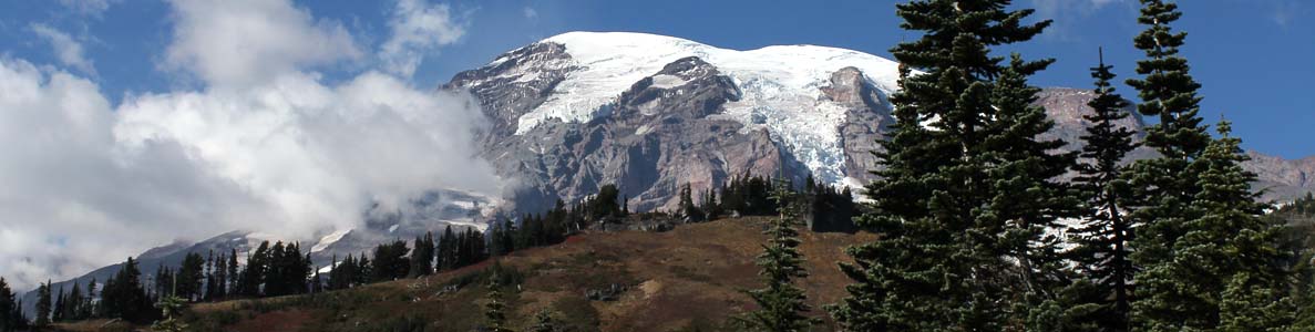 Mt. Rainier